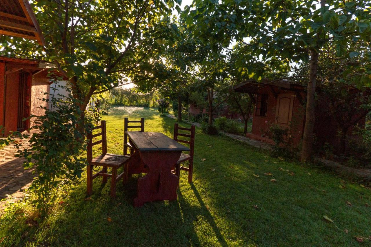 La Livada Villa Greci Buitenkant foto