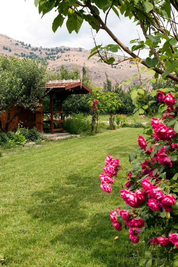 La Livada Villa Greci Buitenkant foto
