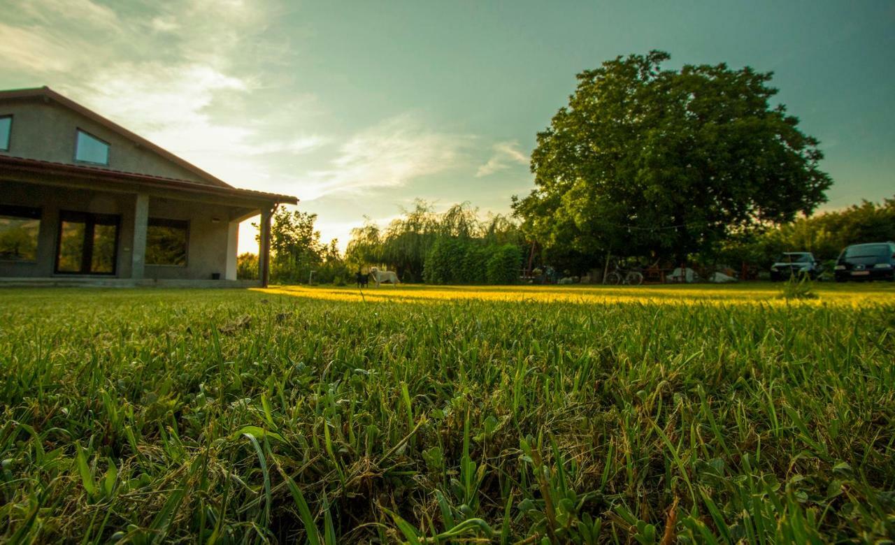 La Livada Villa Greci Buitenkant foto